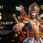 Sonofbet Canlı Destek